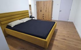 Apartament Cu O Camera Vladimirescu